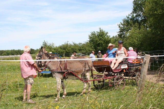 2015-07-06 rando anes (52).JPG